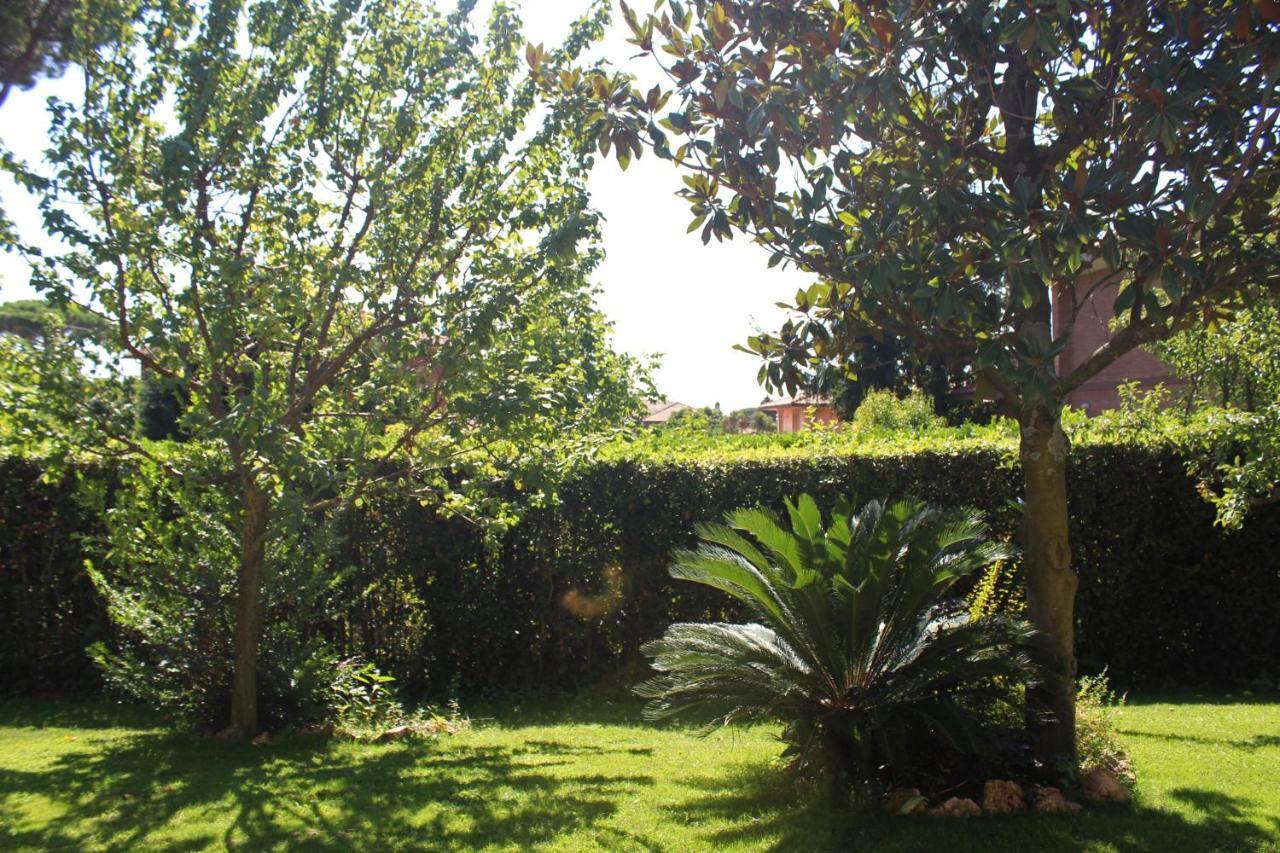 La Pedica B&B Grottaferrata Extérieur photo